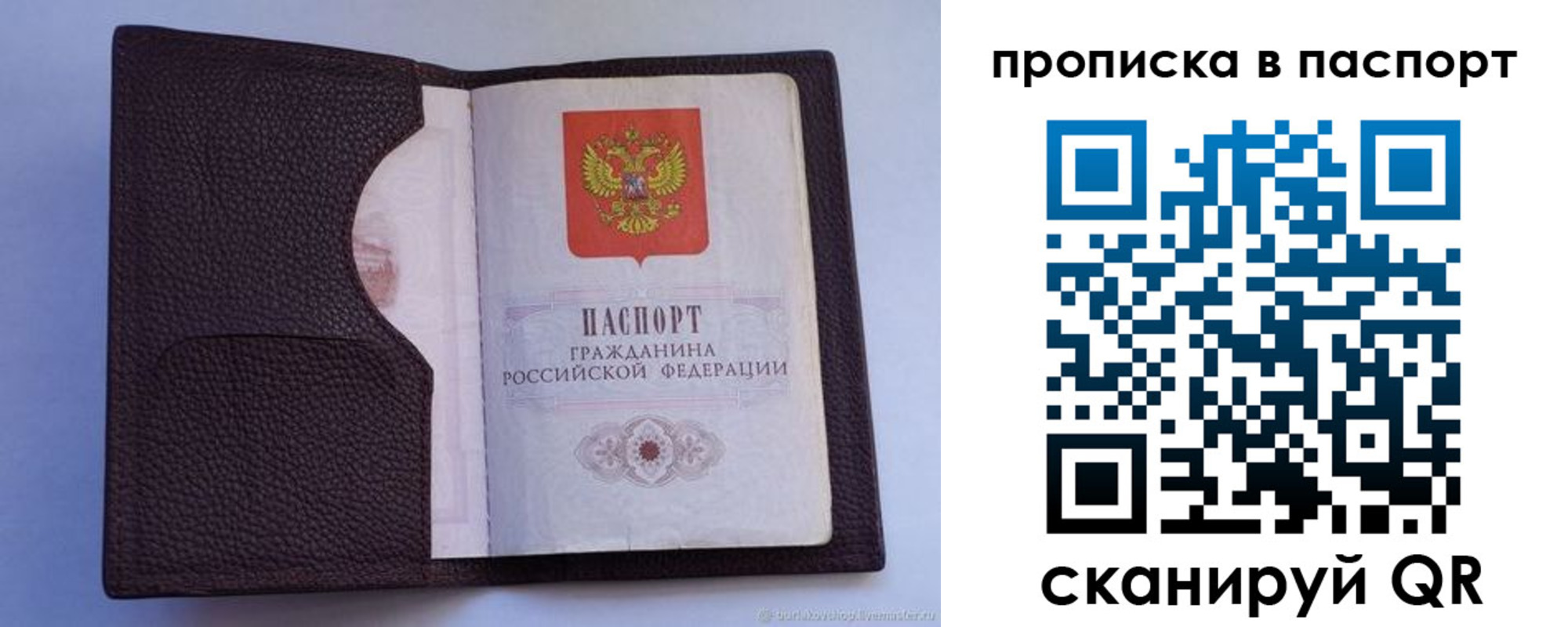 прописка законно в Медногорске